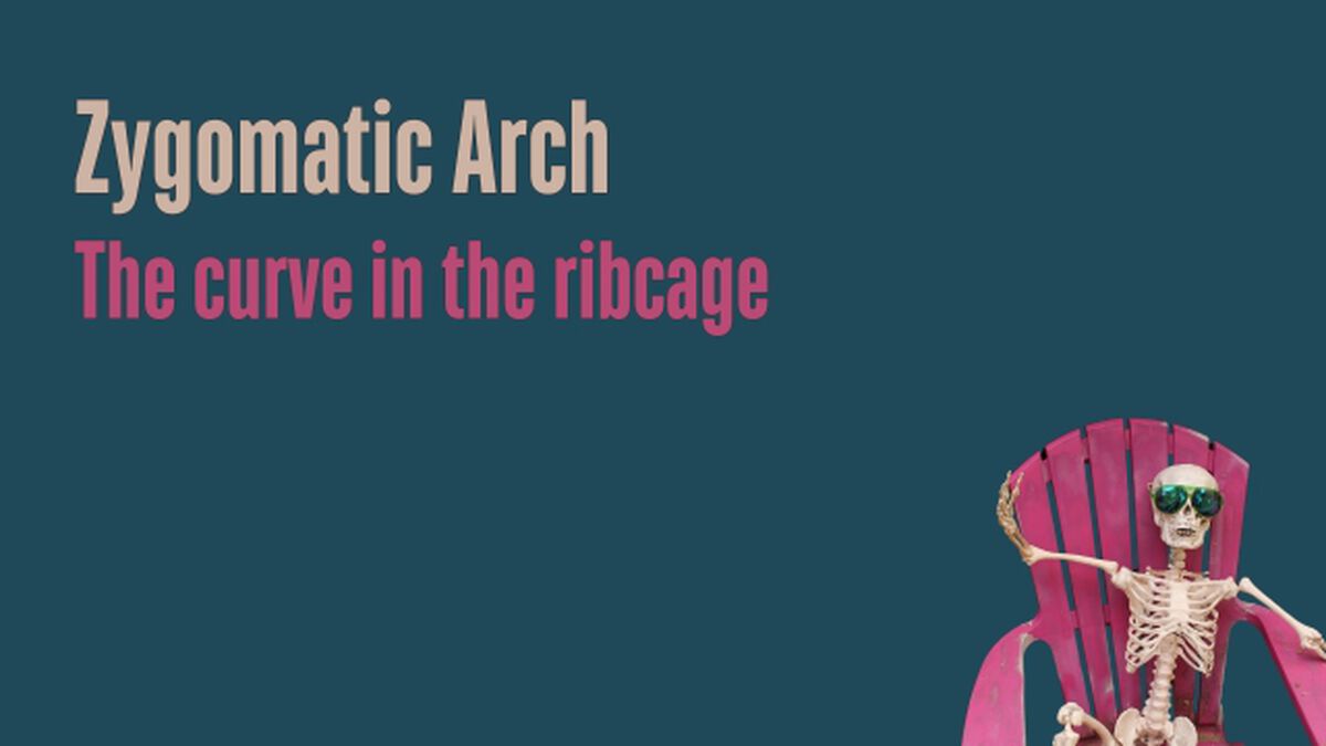 Weird Words: Skin and Bones Edition image number null